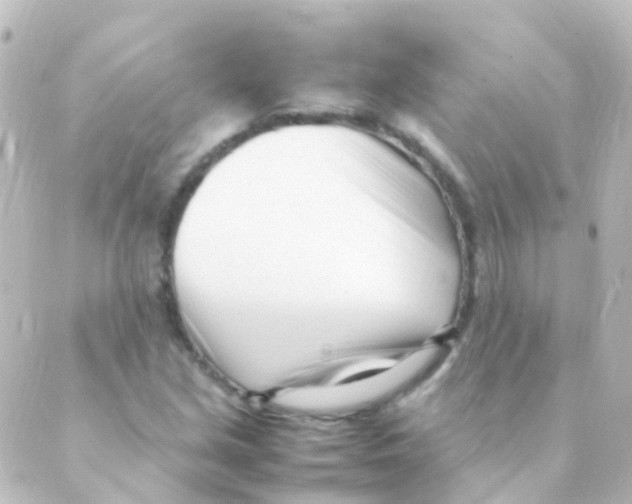 X0000088661213200706221627