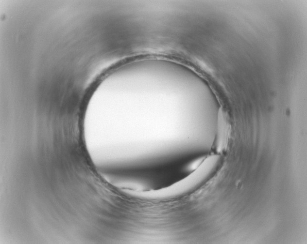 X0000088661214200706221627