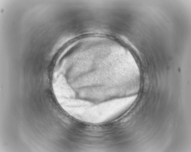 X0000088661215200706221627