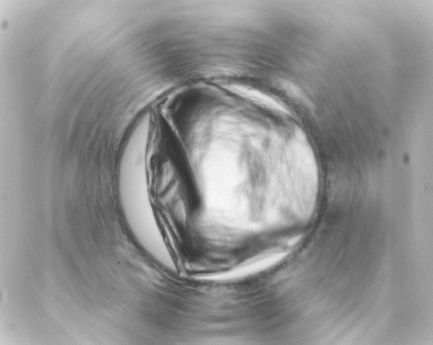 X0000088661217200706221627