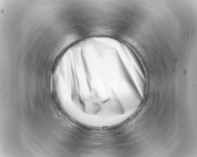 X0000088661219200706221627