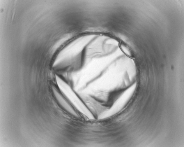 X0000088661221200706221627