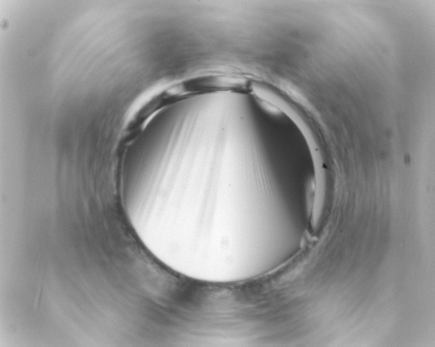 X0000088661222200706221627
