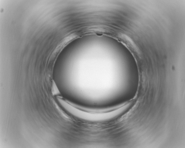 X0000088661225200706221627