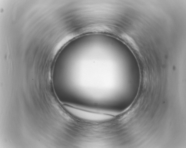 X0000088661226200706221627