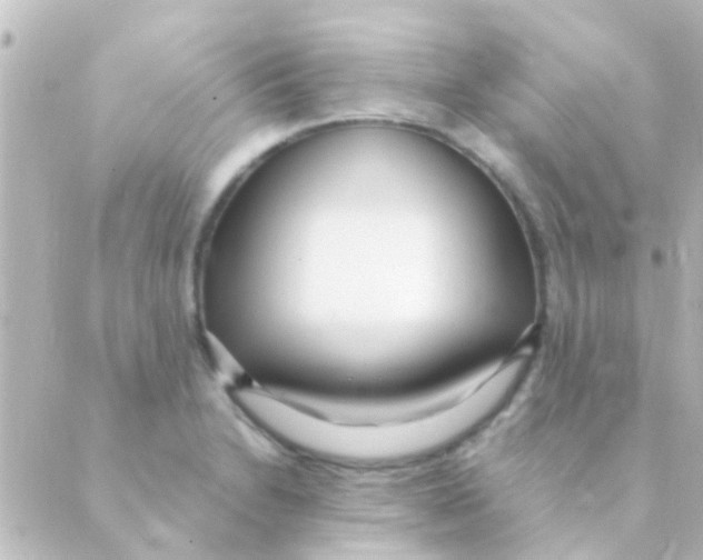 X0000088661230200706221627