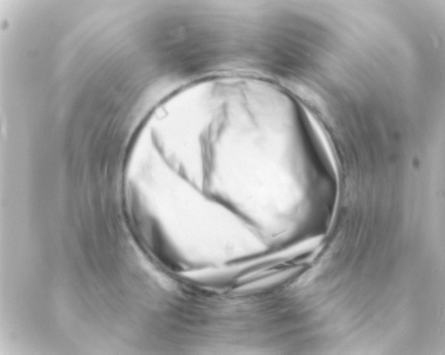 X0000088661231200706221627