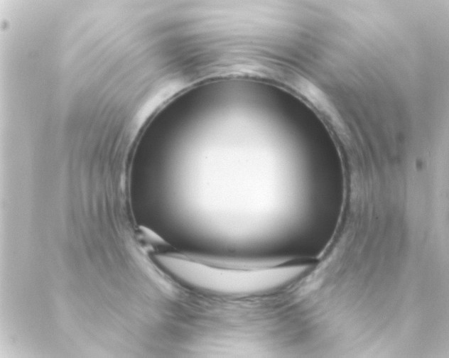 X0000088661234200706221627