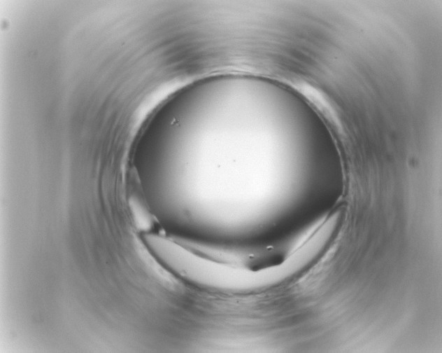 X0000088661238200706221627