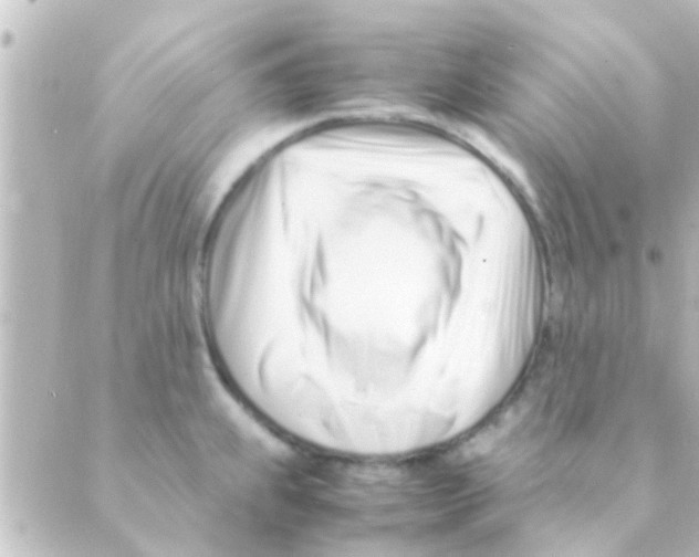 X0000088661239200706221627