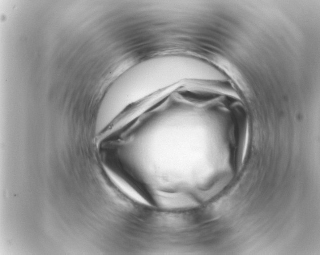 X0000088661241200706221627