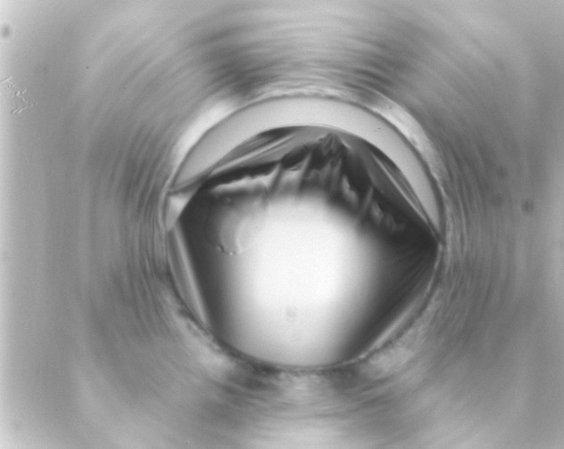 X0000088661242200706221627