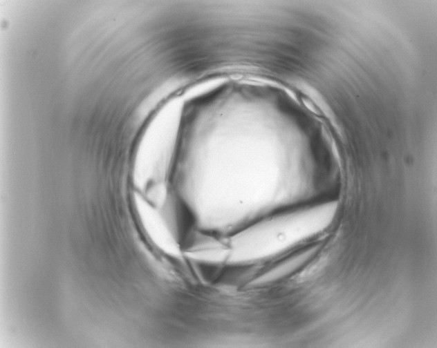X0000088661245200706221627