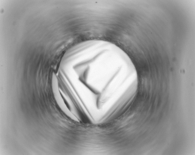 X0000088661250200706221627