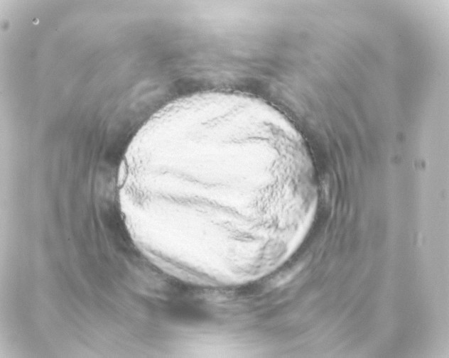 X0000088661251200706221627