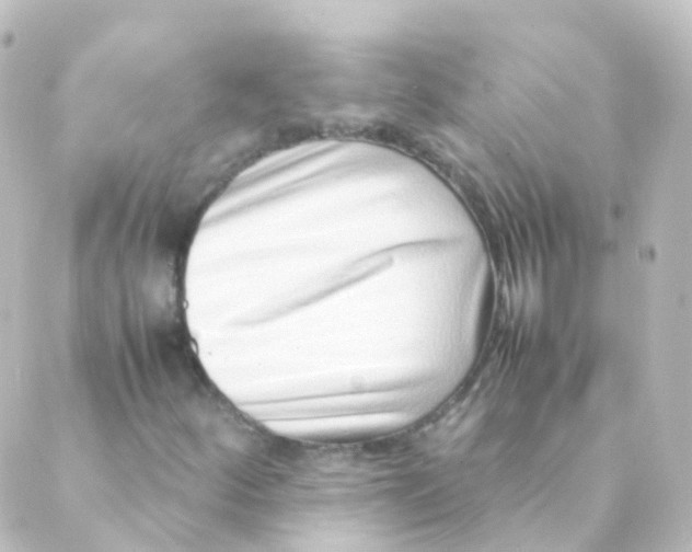 X0000088661252200706221627