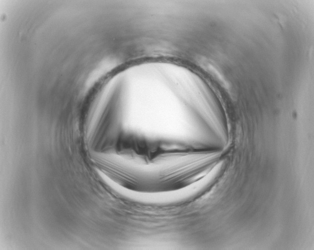 X0000088661261200706221626