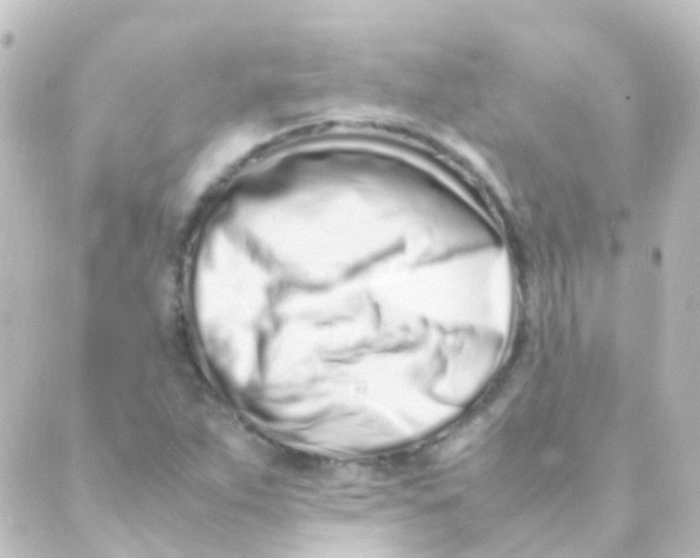 X0000088661263200706221626