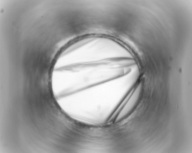 X0000088661264200706221626