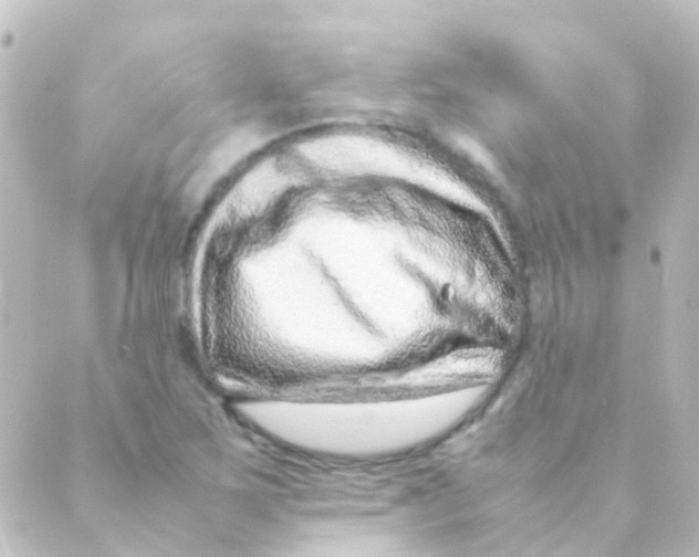 X0000088661267200706221626