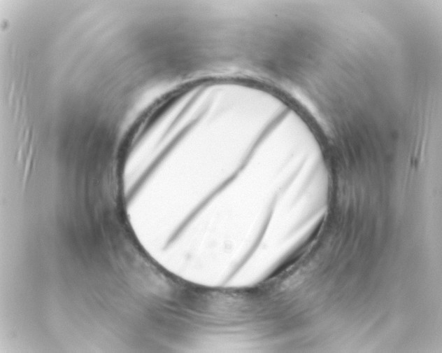 X0000088661270200706221626