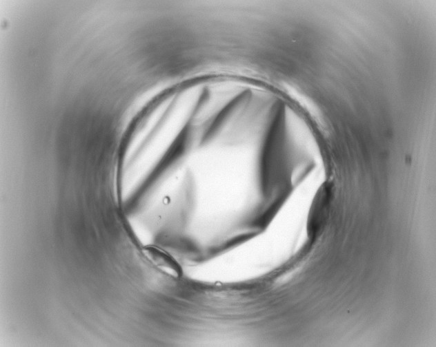 X0000088661272200706221626
