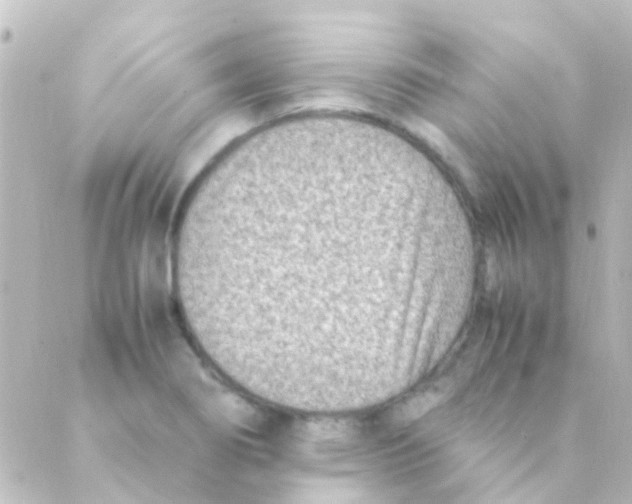 X0000088661274200706221626