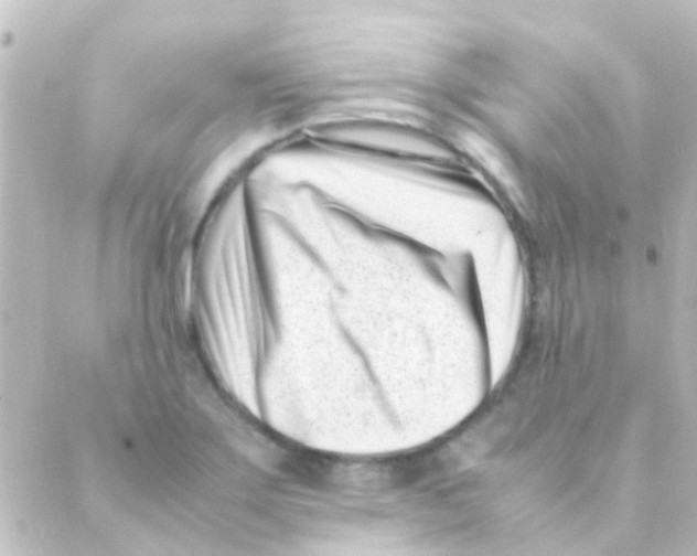 X0000088661275200706221626