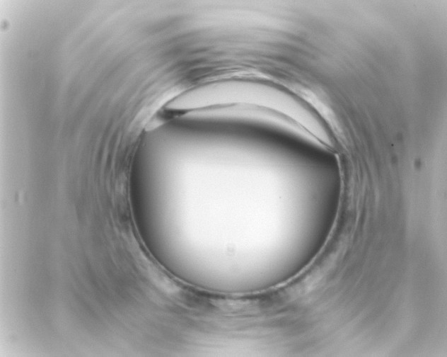 X0000088661281200706221626