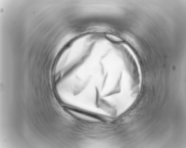 X0000088661283200706221626