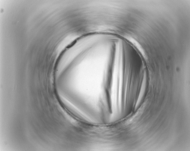 X0000088661285200706221626