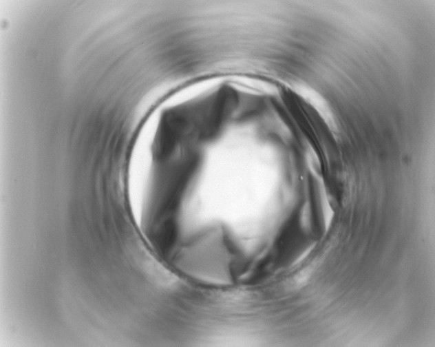X0000088661288200706221626