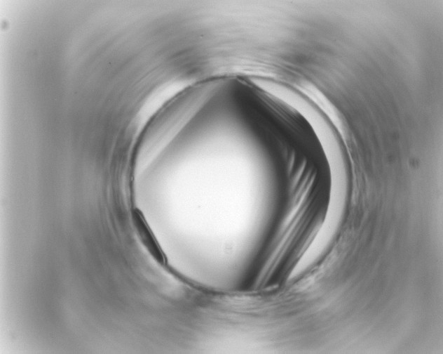 X0000088661293200706221626