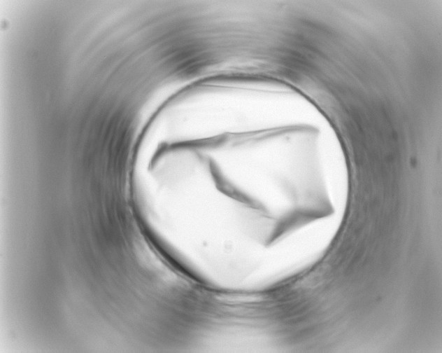X0000088661296200706221626
