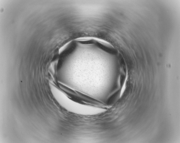 X0000088661298200706221625