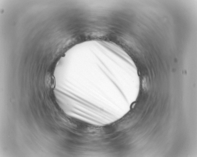 X0000088661299200706221625