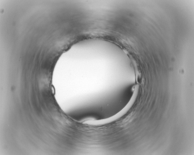 X0000088661300200706221625