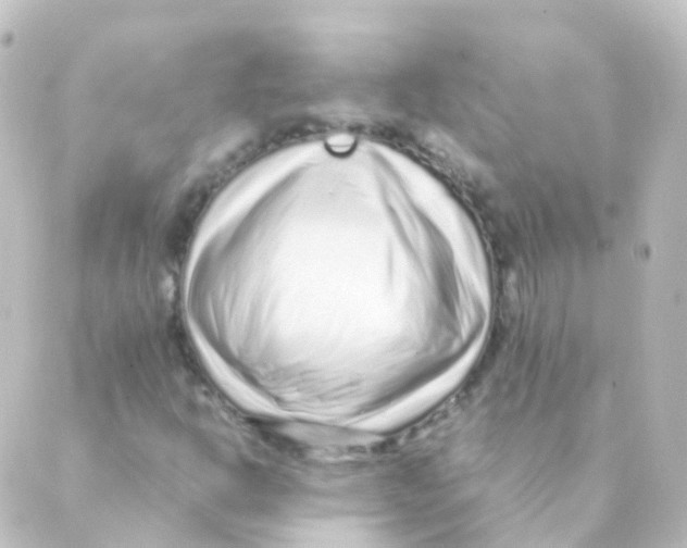 X0000088661302200706221625