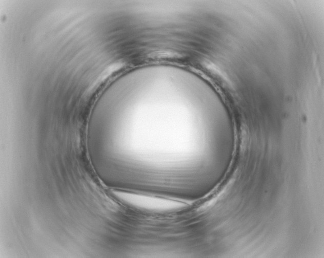 X0000088661305200706221625