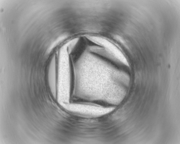 X0000088661307200706221625