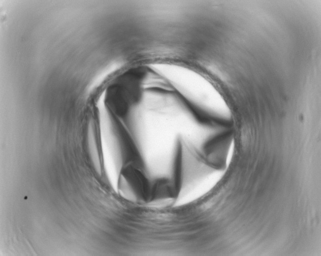 X0000088661309200706221625