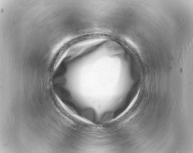 X0000088661310200706221625