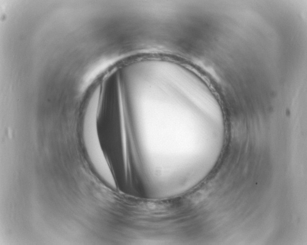 X0000088661311200706221625