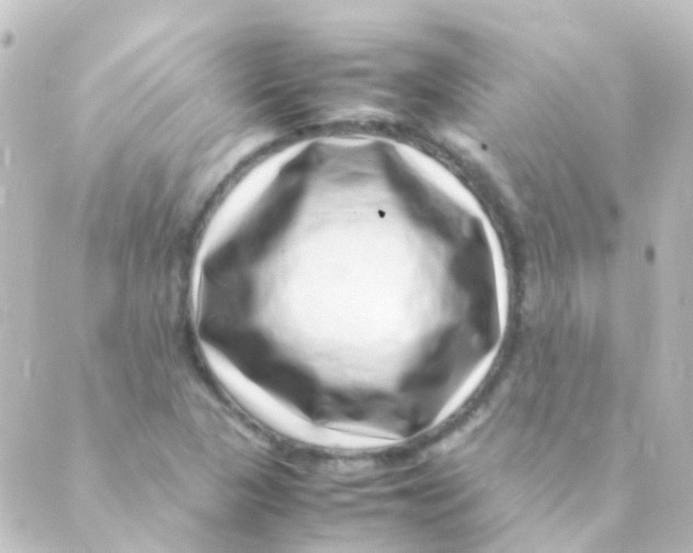 X0000088661313200706221625