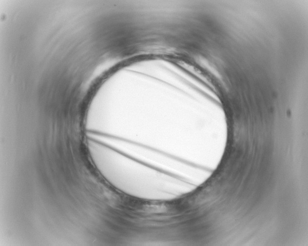 X0000088661315200706221625