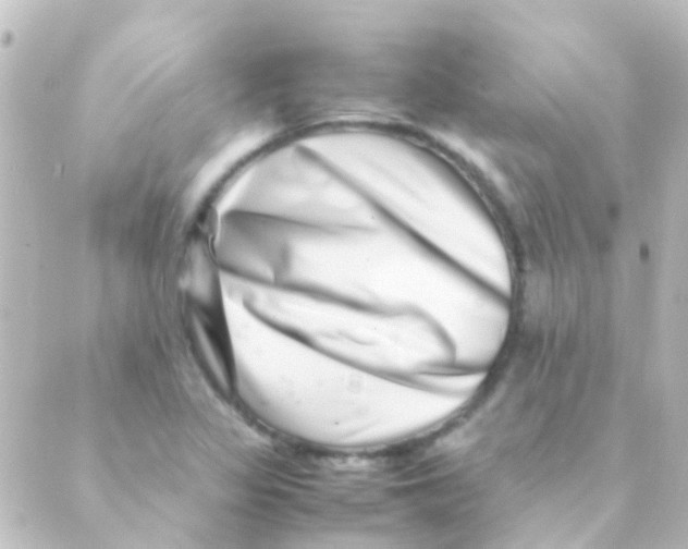 X0000088661317200706221625