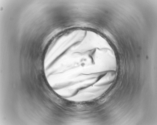 X0000088661318200706221625