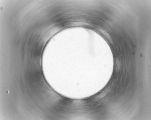 X0000088661322200706221625
