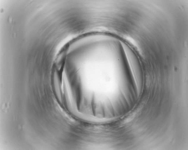 X0000088661326200706221625