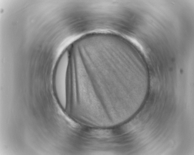 X0000088661327200706221626